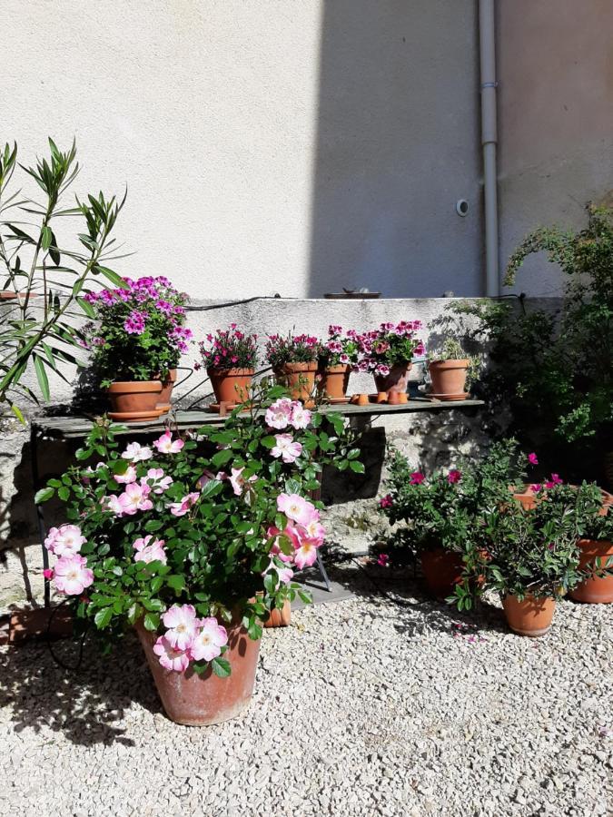 Maison D'Hotes Ventoureso Malemort-du-Comtat Εξωτερικό φωτογραφία